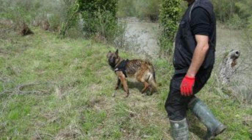 Kaymakam Yaman: Kayıp 9 kişiyi bulmadan ailelere başsağlığı dilemek &ccedil;ok g&uuml;&ccedil;