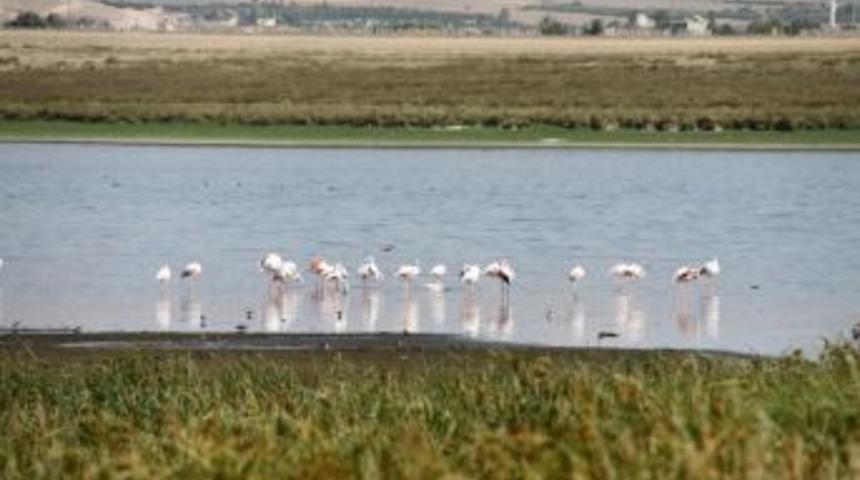 AK Parti Milletvekili Kavaklıoğlu: Akkaya Barajı'nda &ouml;nemli adımlar atılıyor