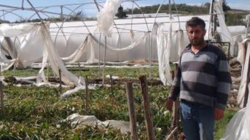 'Yalova&rsquo;da seraların hasarı en az 5 milyon'