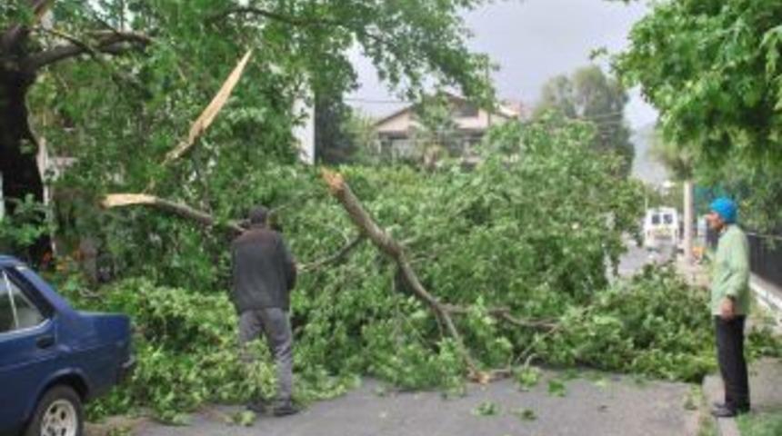 Turgutlu'da R&uuml;zgar Hayatı Fel&ccedil; Etti