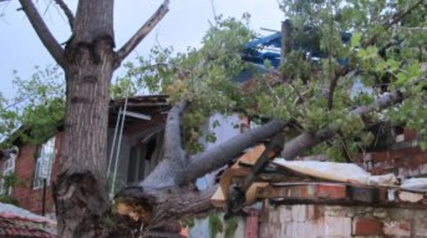 Fırtına Edremit&rsquo;te evin &uuml;zerine ağa&ccedil; devirdi