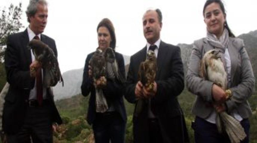 &Ouml;zg&uuml;rl&uuml;ğe Kanat &Ccedil;ırptılar