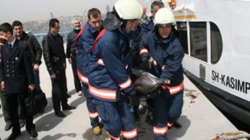 &Uuml;sk&uuml;dar Sahilinde &Ouml;l&uuml; Yunus Balığı Bulundu