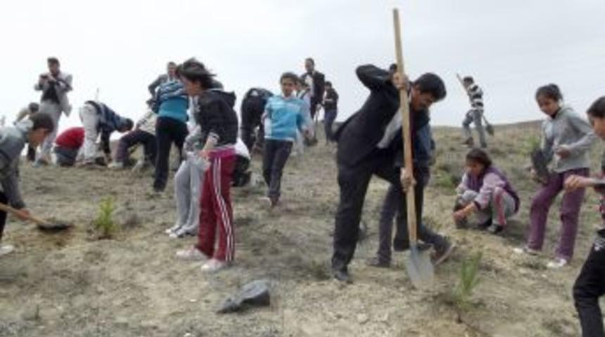 Yeni&ccedil;ubuk Belediyesi beş bin &ccedil;am fidanı dikti