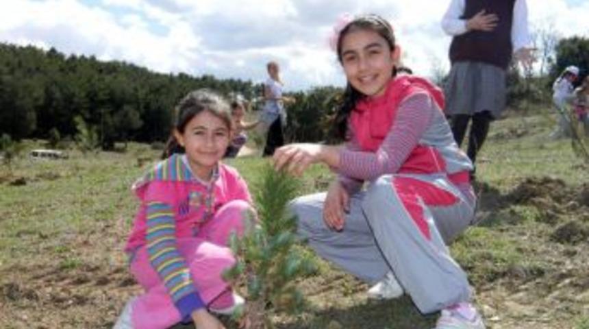 Sevgi &ccedil;i&ccedil;ekleri fidan dikti