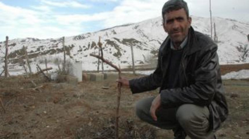 Ağa&ccedil;ları hasar g&ouml;ren vatandaşlar destek bekliyor