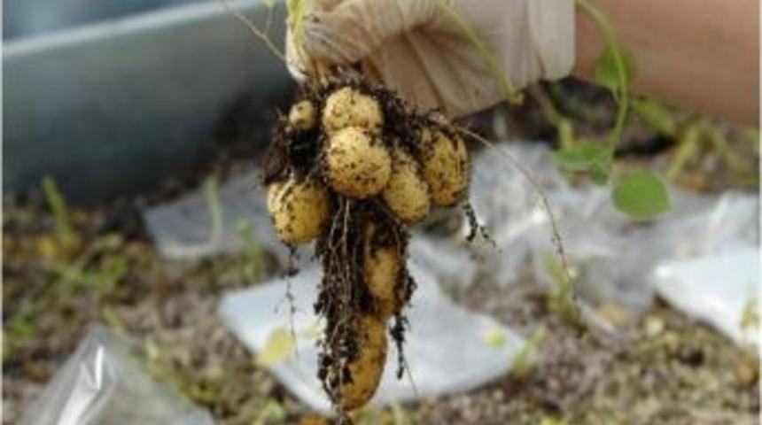 T&Uuml;BİTAK'a en &ccedil;ok tarımdan proje geldi