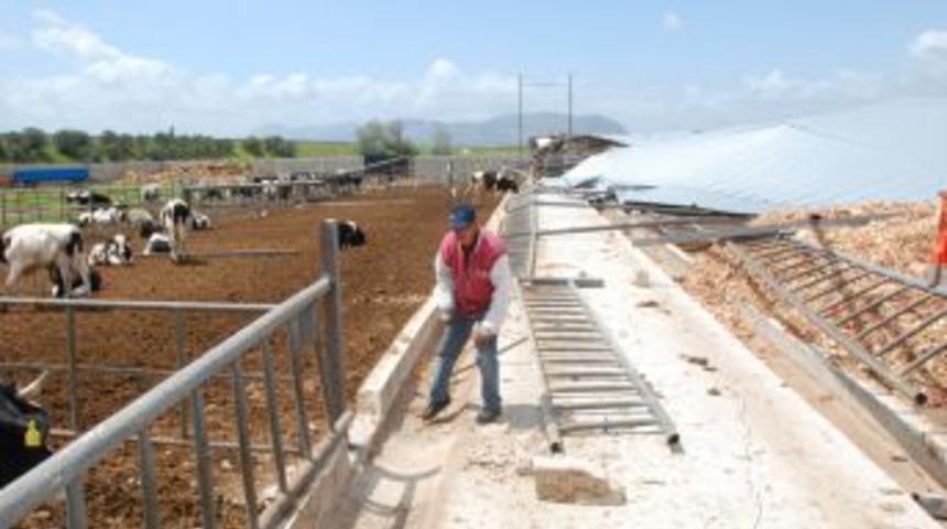 Hortuma d&ouml;n&uuml;şen fırtına hayvan &ccedil;iftliğini yerle bir etti