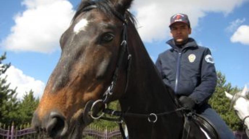 Erzurum'da asayişi atlı polisler sağlıyor