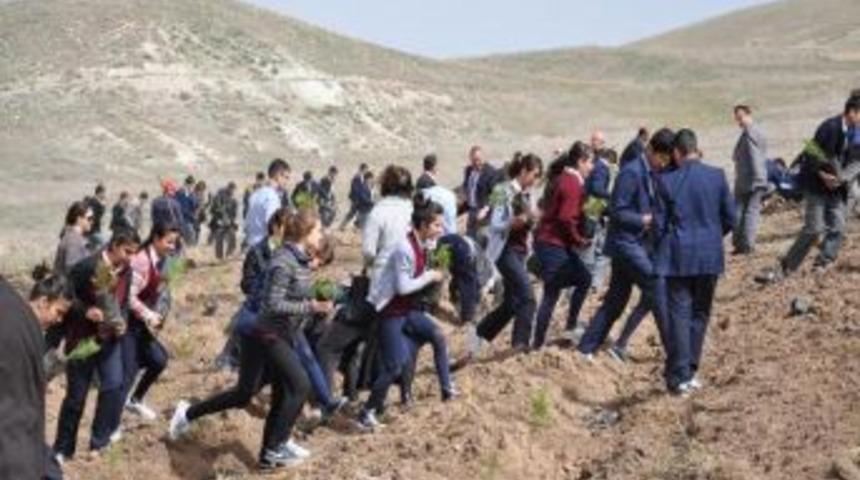 Yerk&ouml;y&rsquo;de 5 bin &ccedil;am fidanı toprakla buluştu