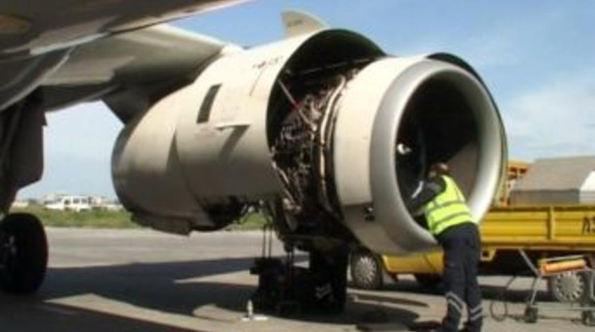 U&ccedil;ak kuş s&uuml;r&uuml;s&uuml;ne &ccedil;arptı