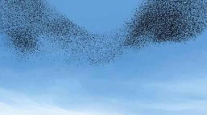 Eskader 2011 &Ouml;d&uuml;lleri Sahiplerini Buluyor