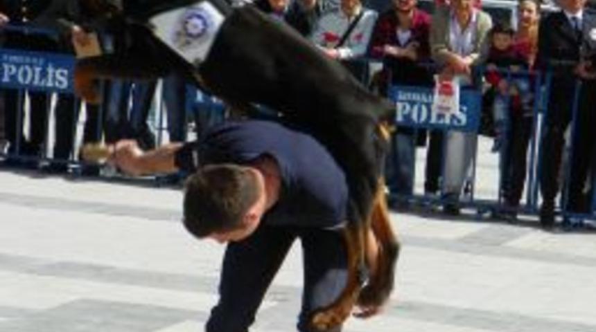 Kırıkkale'de sertifikalı k&ouml;pek eğitim kursu başlatıldı