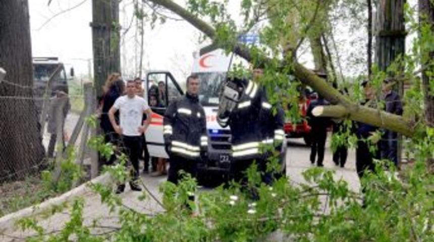 Yolda y&uuml;r&uuml;yen &uuml;&ccedil; kız arkadaşın &uuml;zerine ağa&ccedil; devrildi