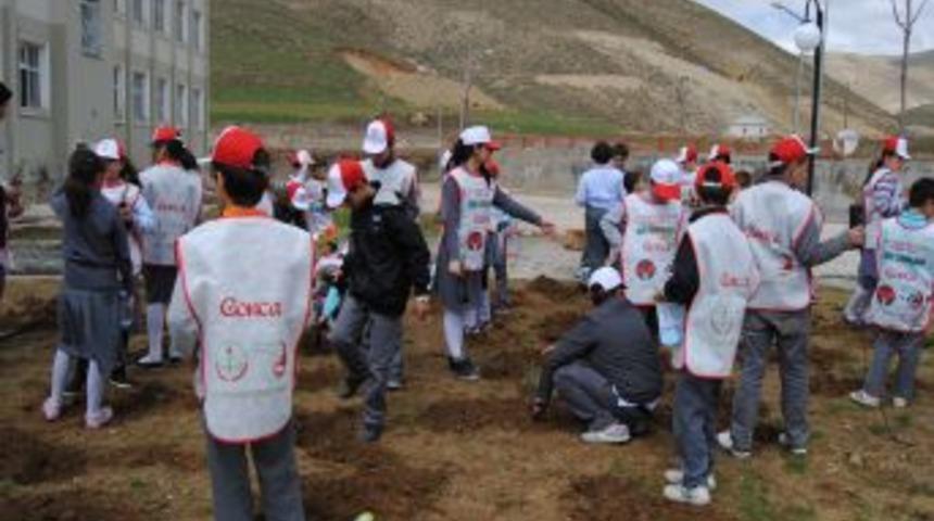 Y&uuml;ksekova'da 'Peygamber Fidanları' toprakla buluştu