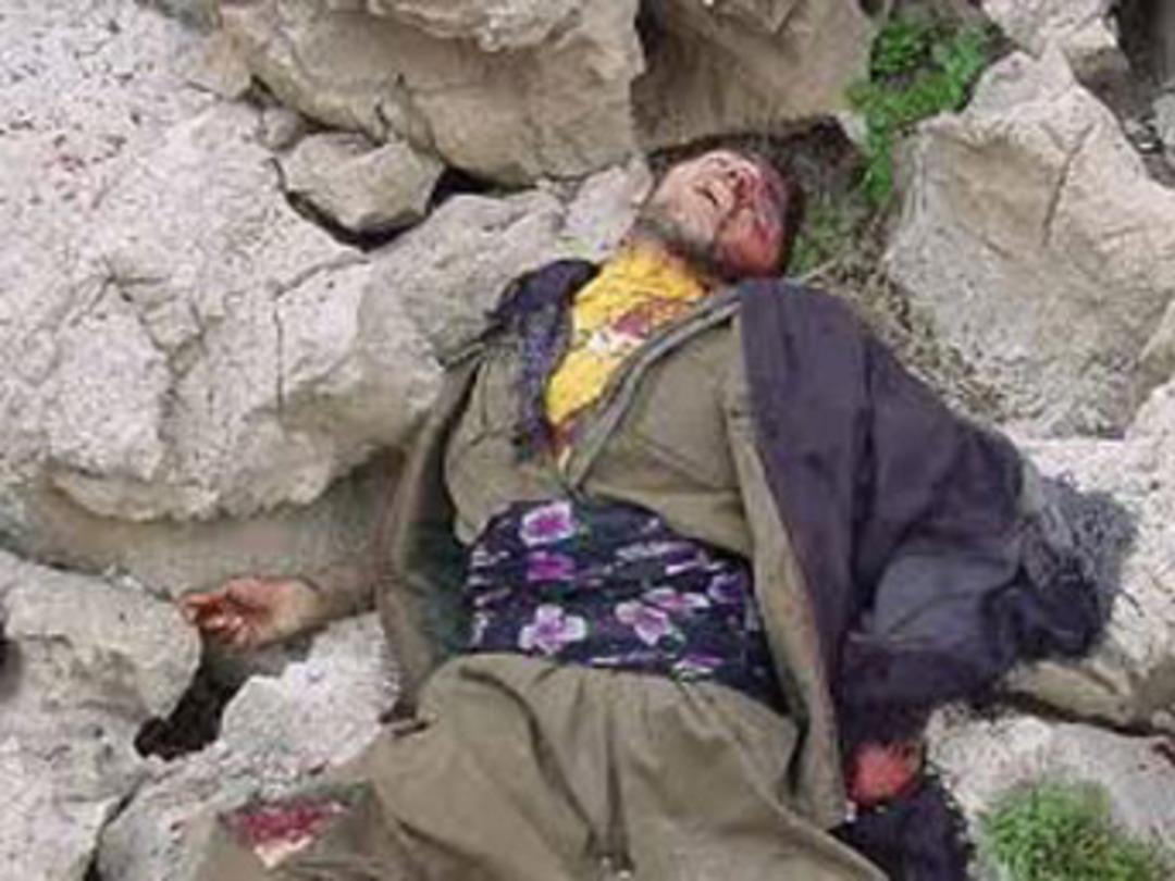 Siirt'te 1 PKK'lı öldürüldü