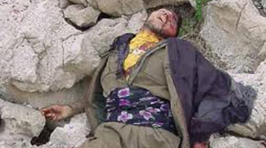 Siirt'te 1 PKK'lı öldürüldü