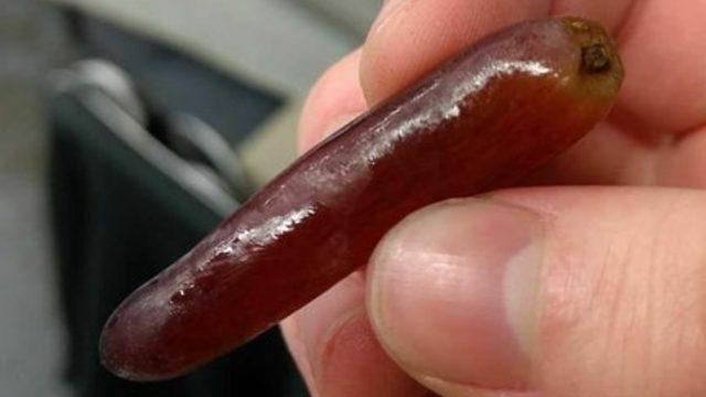 Görenleri şaşkına uğratan birbirinden tuhaf yiyecekler