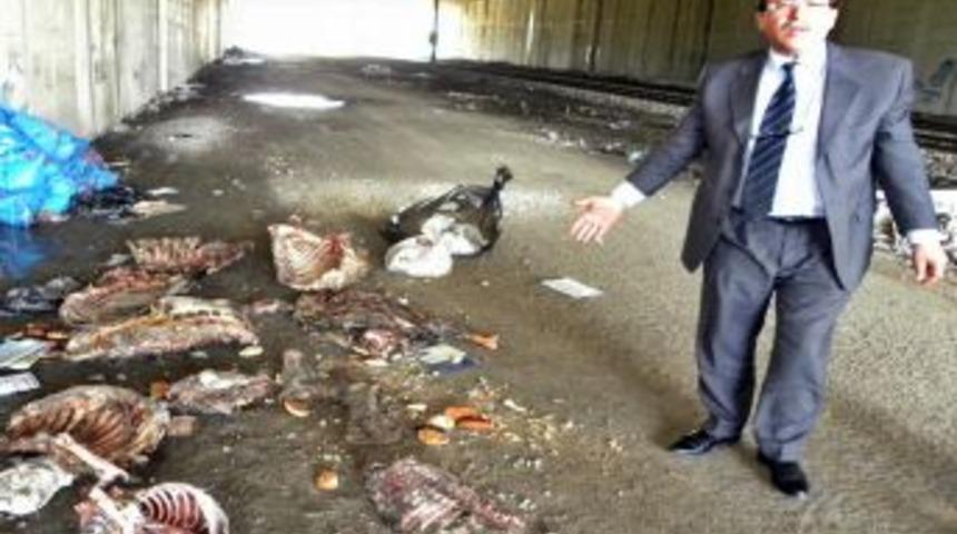 Otoyol k&ouml;pr&uuml;s&uuml; altına atılan hayvan eti ve kemikleri kaldırıldı