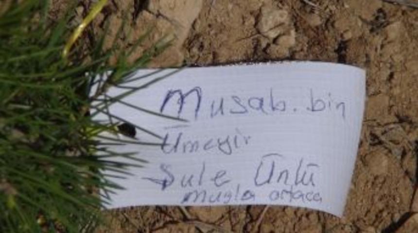 Sahabeler adına 7 bin fidan toprakla buluştu