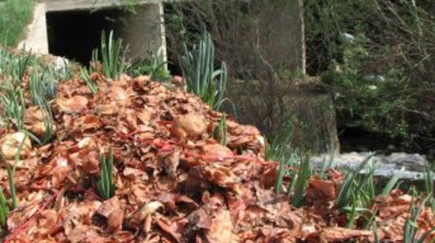 &Uuml;reticiler Satılamayan Soğanları Dereye D&ouml;k&uuml;yor