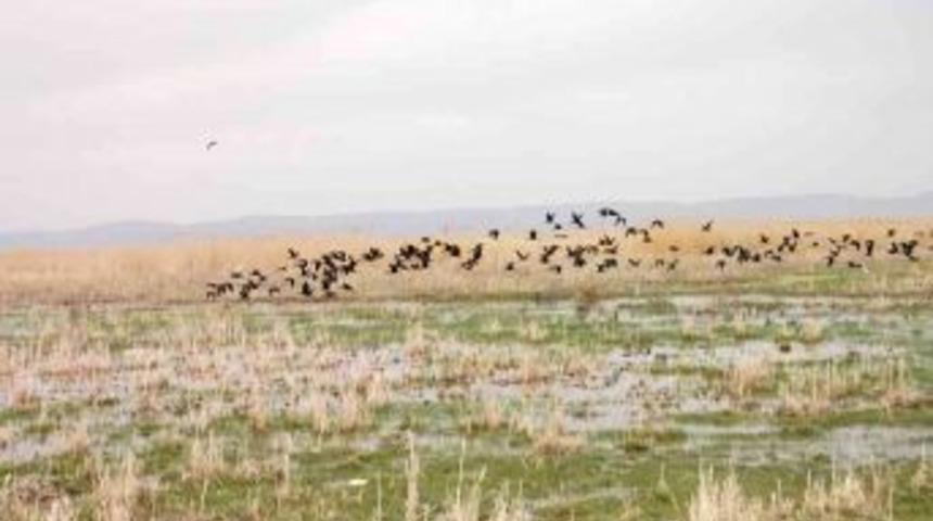 Eber G&ouml;l&uuml;'n&uuml;n etrafındaki tesisler denetimden ge&ccedil;ti