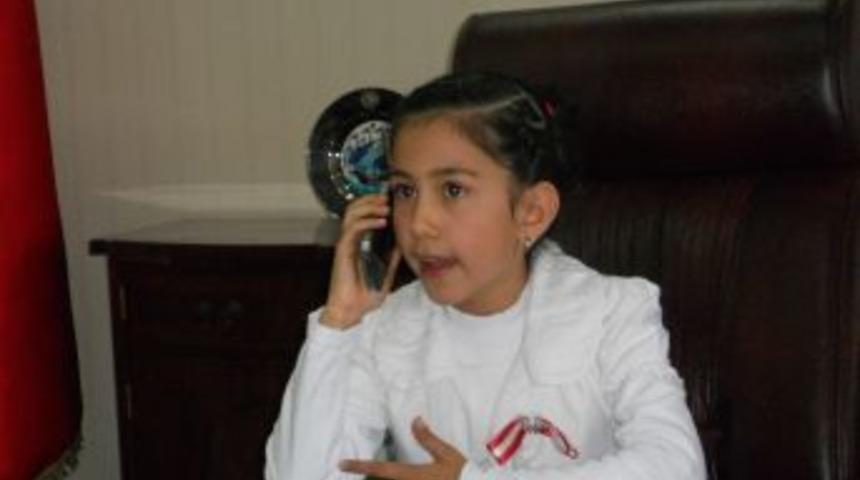 Temsili vali, parkların ve yeşil alanların artırılmasını istedi