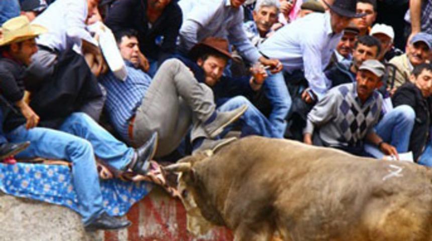 Artvin'de olaylı boğa g&uuml;reşi