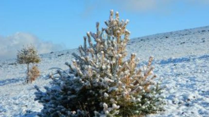 Posof'ta Kar S&uuml;rprizi