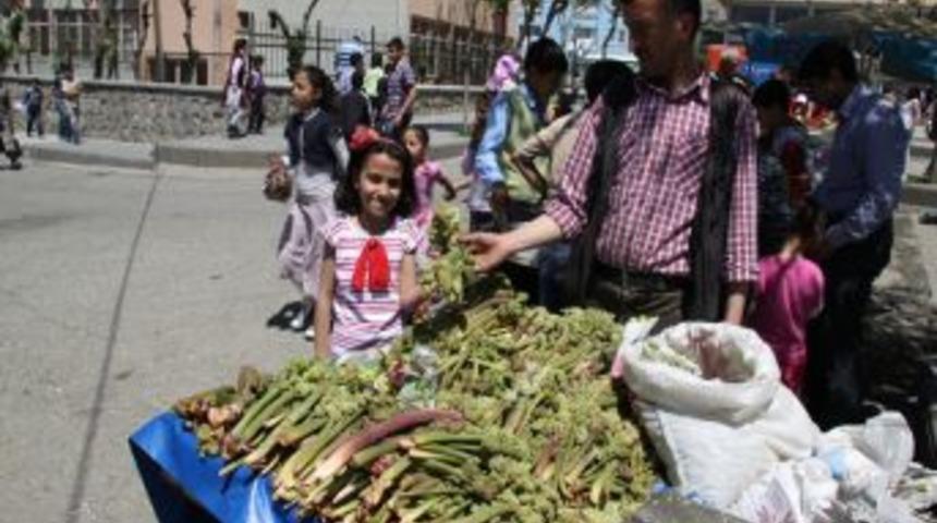 Siirt'te Yayla Muzu 8 Tl'den Piyasada