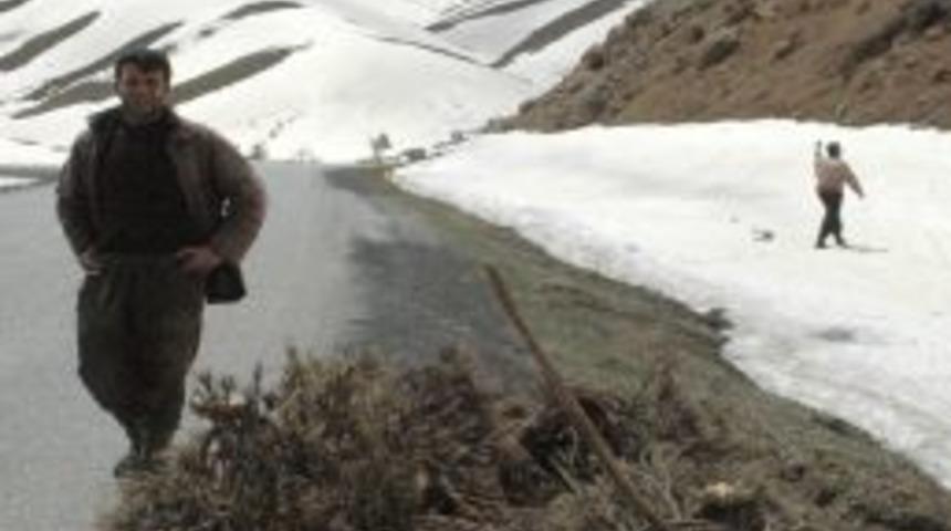 Yem sıkıntısı &ccedil;eken k&ouml;yl&uuml;ler hayvanlarına saman yerine gever otu veriyor