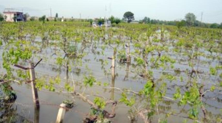 Baraj a&ccedil;ılınca Gediz ve Nif taştı, tarım arazileri su altında kaldı