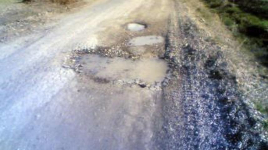 Domani&ccedil;liler yollardan şikayet&ccedil;i