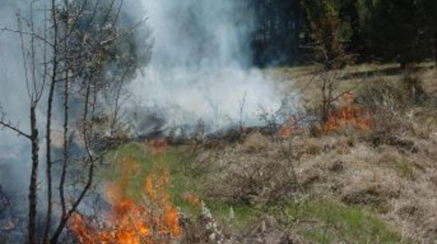 Temizlik Yapmak İsteyen K&ouml;yl&uuml;ler Mezarlığı Yaktı