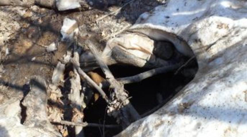 Bing&ouml;l'de ter&ouml;r &ouml;rg&uuml;t&uuml;ne ait 6 sığınak imha edildi