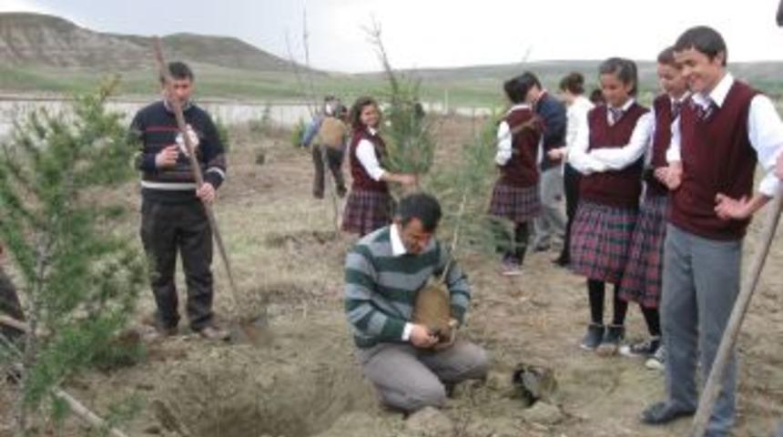 İskilip A&Ouml;L'den 'Daha yeşil bir İskilip i&ccedil;in dikili bir ağacın olsun' kampanyası