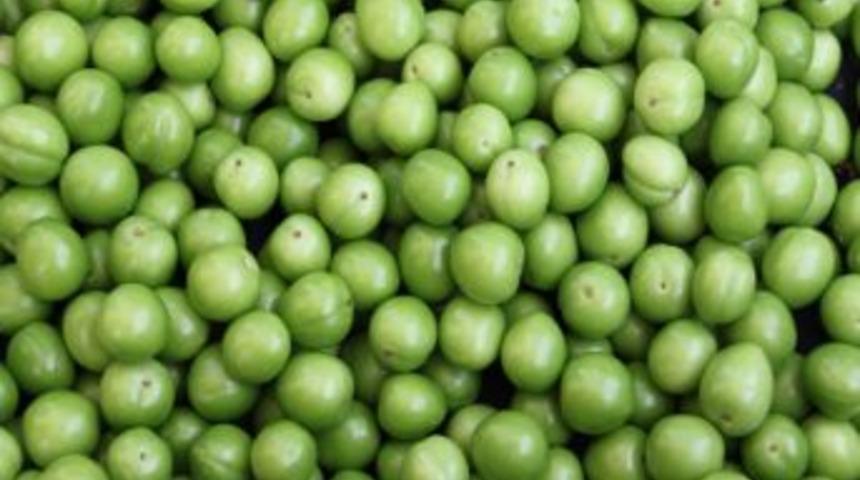 300 TL'den 3 TL'ye d&uuml;şen can eriğini dar gelirli vatandaş da yiyebilecek