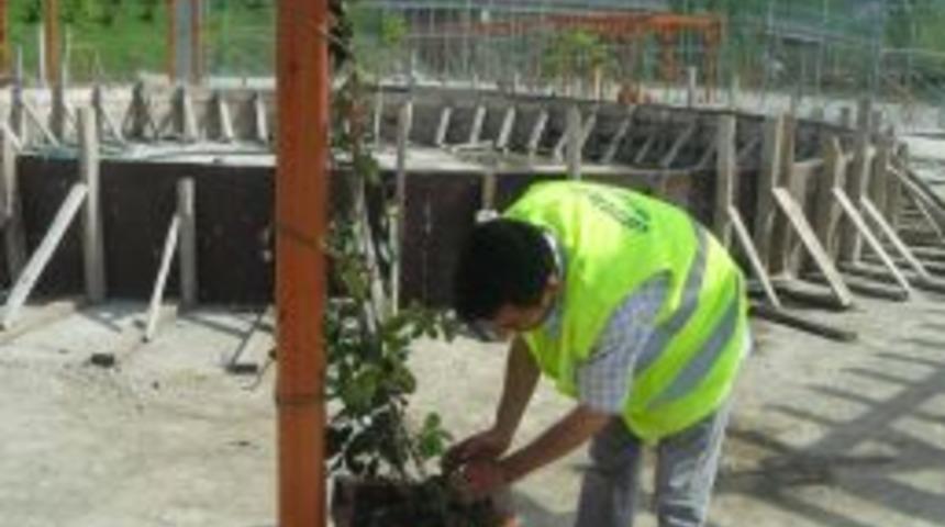 Acısu Parkı G&uuml;zelleşiyor