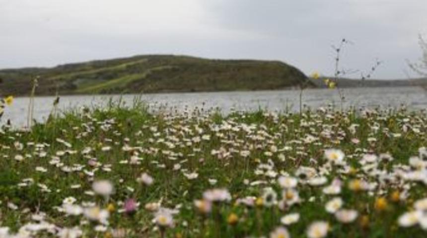 Terkos Gölü'nde renk cümbüşü
