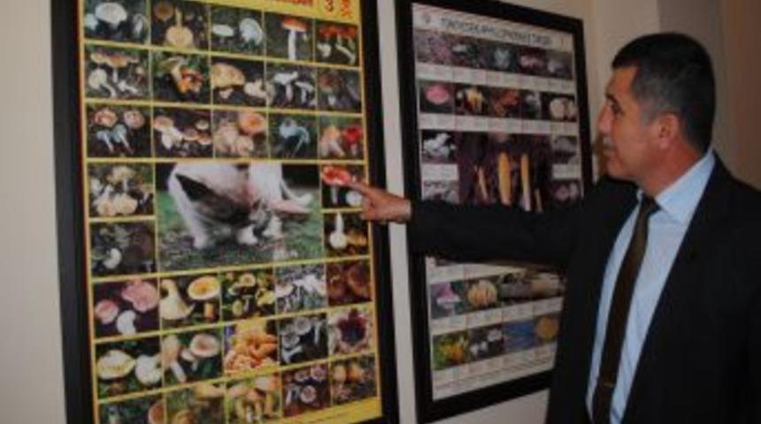 Manavgat'ta k&ouml;yl&uuml;ler zehirli mantar t&uuml;rleri hakkında bilgilendiriliyor