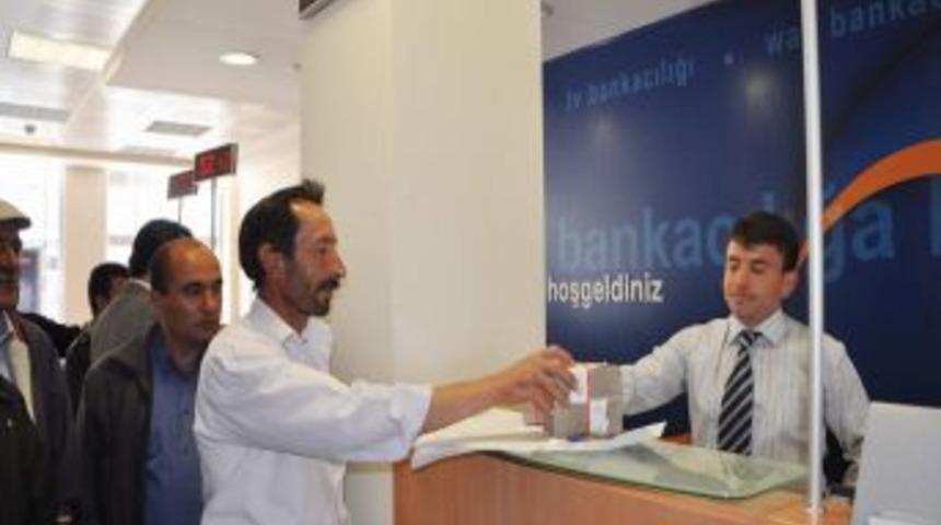 Pancar Bedeli &Ouml;demeleri Başladı