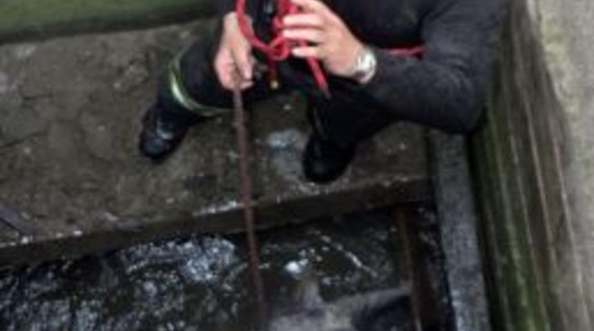 Edirne&rsquo;de kuyuya d&uuml;şen at g&uuml;&ccedil;l&uuml;kle &ccedil;ıkarıldı