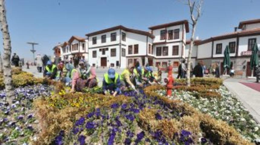 Başkent'te bu yıl 12 milyon &ccedil;i&ccedil;ek dikilecek