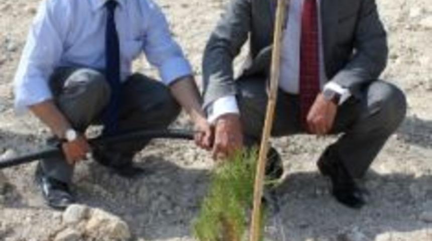 Toroslar ağa&ccedil; dikmeye devam ediyor