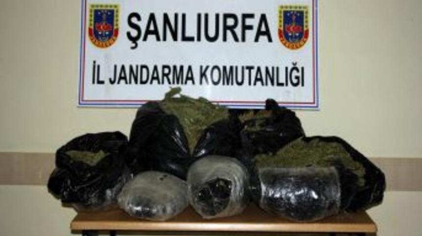Jandarma'dan Esrar Operasyonu