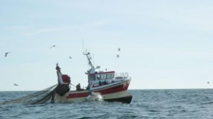 Balık Sayısında Artış