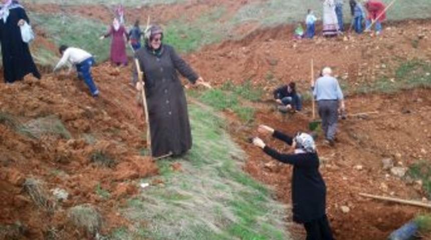 Kadınlar, fidan dikmek i&ccedil;in yarıştı