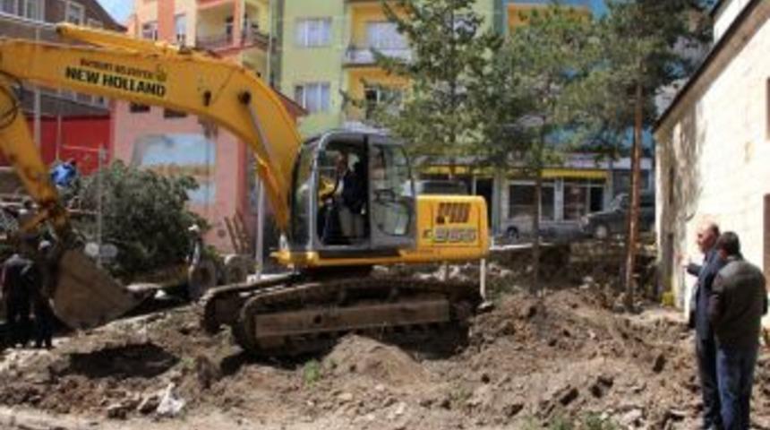 Restore edilen Ulu Camii bah&ccedil;esindeki ağa&ccedil;lar, Kent Ormanı'na taşındı