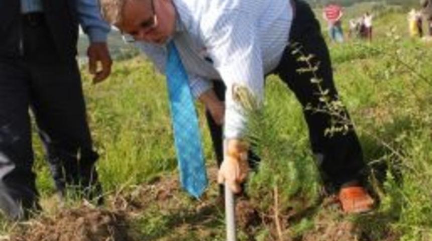 Fakir Ve Muhta&ccedil;lara Yardım Derneği G&ouml;n&uuml;ll&uuml;leri Fidan Dikti