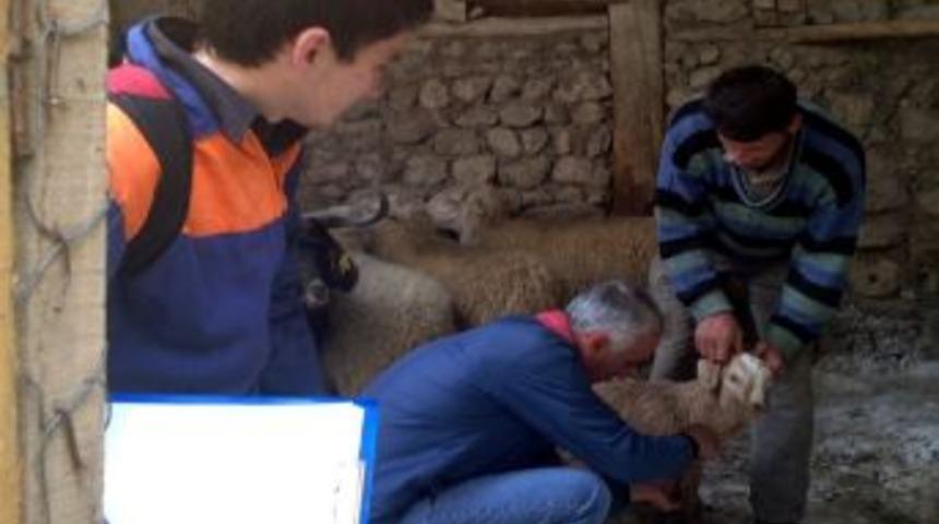 Bilecikli Besicilere Şap Eğitimi